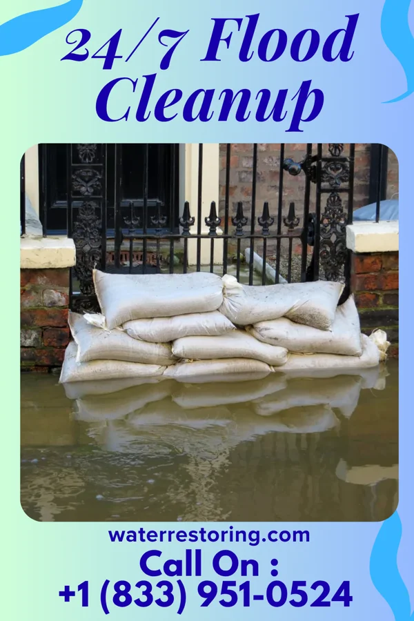 24/7 Flood Cleanup in Dolliver, IA
