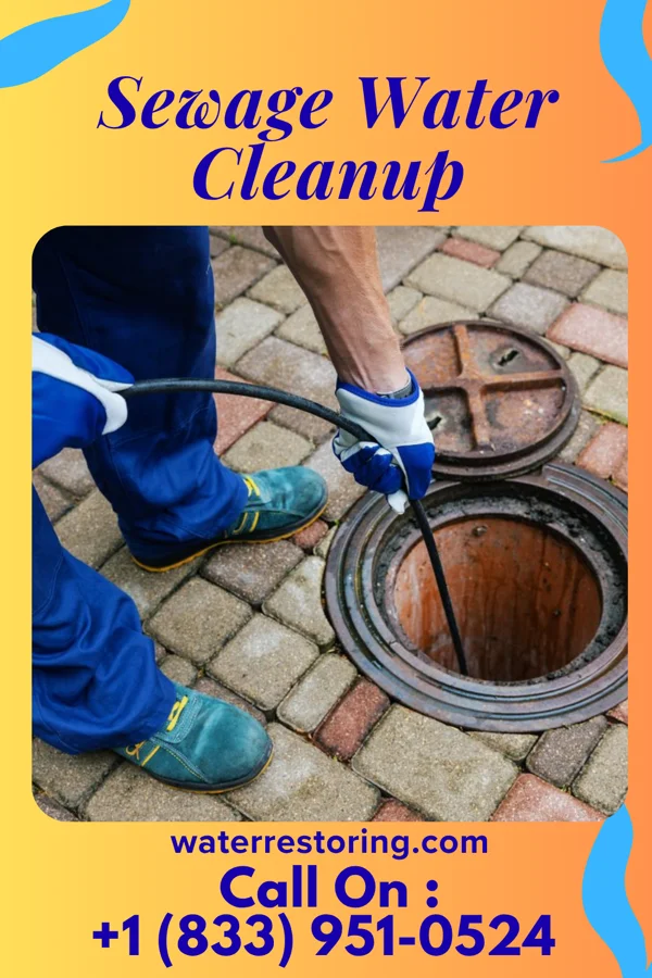 Sewage Water Cleanup in Dolliver, IA